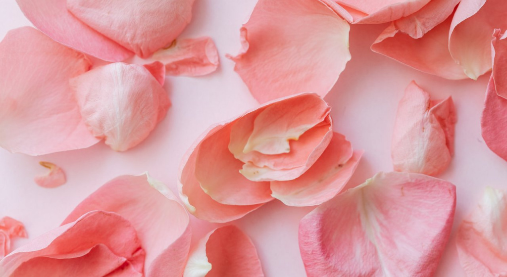 дисплазия вирус папилломы человека, впч, стадии дисплазии, дисплазия, симптомы рака, рак яичников, онкология шейки матки, рак шейки матки, рак тела матки, лечение дисплазии, осмотр у гинеколога, обследование у гинеколога, гинекологический осмотр, лечить впч, профилактический осмотр у гинеколога, онкогинекология, предраковое состояние, дисплазия первой степени, дисплазия второй степени, дисплазия третьей степени, водянистые выделения. факторы риска рака, как часто нужно ходить к гинекологу