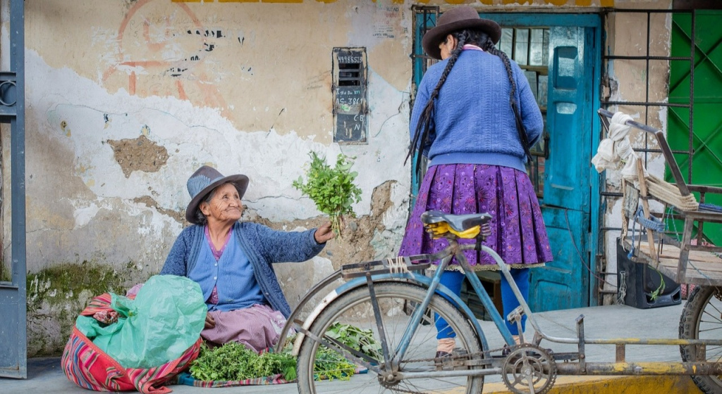 кошачий коготь польза кошачий коготь польза