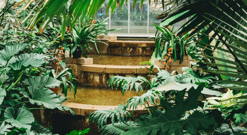 Как организовать фэншуй сада? что такое фэншуй, фэншуй дома, фэншуй квартиры, фэншуй сада, привлечение позитивной энергии, мастер по фэншуй, основы фэншуй, фэншуй богатство, фэншуй для богатства, обучение фэншуй,законы фэншуй.