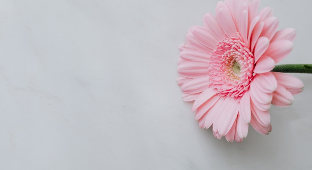 вирус папилломы человека, впч, рак шейки матки, осмотр у гинеколога, профилактический осмотр у гинеколога, предраковое состояние, метод контрацепции, гинеколог, вопросы о женском здоровье, рак органов малого таза, методы предохранения, прием гормональных контрацептивов, онкология, беременность, рак во время беременности, предрасположенность к раку, выскабливание матки, миома матки, методы защиты от нежелательной беременности, внутриматочная спираль, гормональная спираль, золотая спираль, родинка на половых органах, гормональные контрацептивы, рак эндометрия, лактостаз, рак яичников