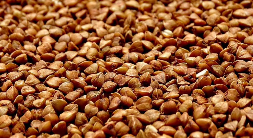 самая полезная каша, какая каша самая полезная, гречка, чем полезна гречка, гречневая крупа, гречневая каша, полезные вещества в гречке, киноа, пищевая ценность гречки, зеленая греxка, калорийность гречки, самая полезная крупа, сколько питательных веществ в гречке, зеленая гречка, гречка для похудения, можно ли есть гречку каждый день