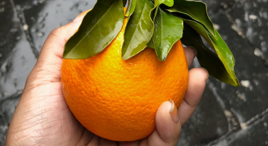 Витамин С укрепляет иммунитет витамин С, аскорбиновая кислота, что такое иммунная система, витамин С для иммунитета, иммунная система это, витамин С в продуктах, витамин С в таблетках, суточная норма витамина С, передозировка витамином С, суточная доза витамина С, где больше всего витамина С, сколько витамина С в лимоне, витамин С при простуде, аллергия на витамин С, витамин С для повышения иммунитета, повышение иммунитета, простуда, простудные заболевания