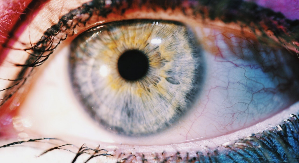 вены, почему вены синие, что такое вены, эритроциты, вена, вены это, почему кровь красная, легочные вены, кровь, гемоглобин, артерии, цвет вен, венозная кровь, кровообращение, венозная система